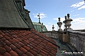VBS_5973 - Sotto il Cervo - Palazzina di Caccia di Stupinigi